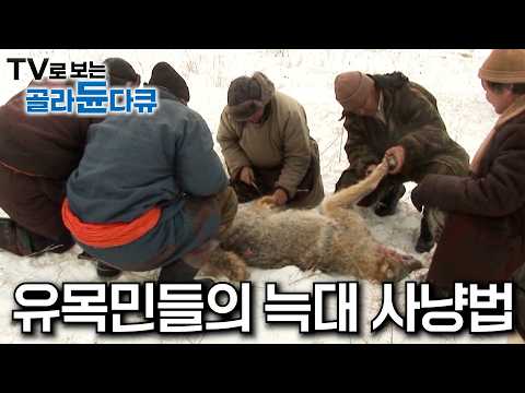 영하 30도, 혹한 추위 속 늑대와의 전쟁은 시작되었다｜몽골 유목민의 가축을 사냥한 야생 늑대의 최후｜숨소리조차 들리지 않는 극한의 늑대 사냥 현장｜극한직업｜#골라듄다큐