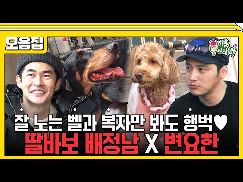 [#습콕📌] 벨과 복자를 위해서 못 해줄 것이 없는 두 아빠❤️ 반려견과 함께 여행을 떠나는 배정남 X 변요한 모음🐶👒 #미운우리새끼 #MyLittleOldBoy #SBSenter
