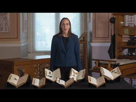 Tiny Creatures, Big Impact: Bugs and American Science