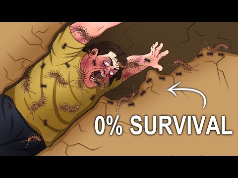 The WORST Insect Infested Cave Deaths Ever