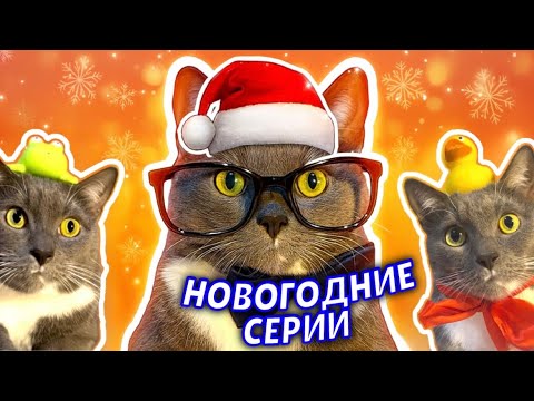 IF CATS WENT TO SCHOOL - NEW YEAR'S SERIES