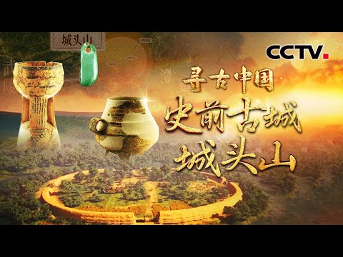 目前已知中国“最早的城”！约6300年前，远古先民已会引活水灌田，更有一批职业制陶人撑起“制陶大厂”流水线作业《史前古城城头山 》| CCTV「寻古中国」20250807