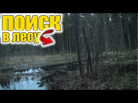 Поиск в лесу !Нашел много интересного!Коп старины с металлоискателем!