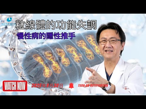 |直播|線體的功能失調:慢性病的隱性推手|腸胃霖負擔|