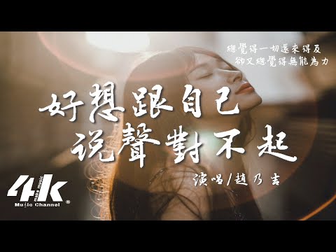 趙乃吉 - 好想跟自己說聲對不起『對不起總是給你壓力，活成自己最討厭的自己。』【高音質|動態歌詞Lyrics】♫ · 翻唱歌曲 (原唱:張熙若)