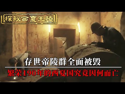 揭秘西夏王陵：存世190年 帝陵群全部被毁 传世珍宝被盗 整个王国都被历史遗忘！——《揭秘西夏陵》特辑 丨 中华国宝
