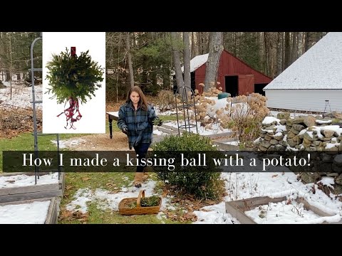 A 1700s potato Christmas Kissing Ball DIY,  Creating an Old World Christmas