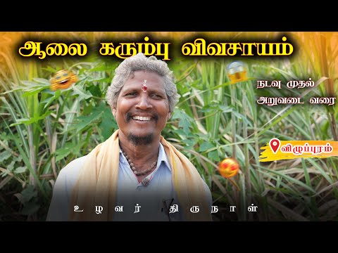 ஆலை கரும்பு விவசாயம் | நடவு முதல் அறுவடை வரை | விழுப்புரம் | உழவர் திருநாள்