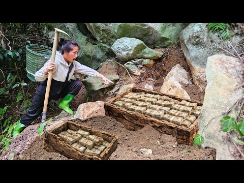 I accidentally dug up something that had been buried for decades—I was stunned when I opened it up