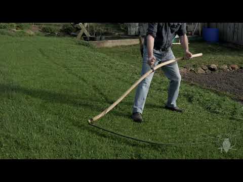 Short Cuts: English Scythe on lawn