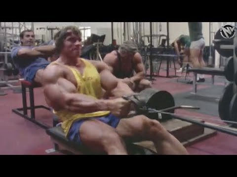 Heavy Back Day With Arnold Schwarzenegger - Building a Thick Wide Golden Era BACK