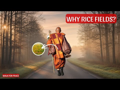 Walk for Peace | The Hidden Meaning Behind a Monk’s Rice-Field Robe