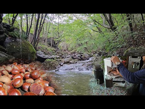 아침을 깨우는🐓 닭울음소리와 새소리ㅣ☕모닝커피로 하루를 시작 ㅣ 밤과 🎃호박 수확 ㅣ 아름다운 시골풍경