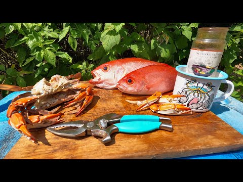 Inshore/Offshore Fishing and Crabbing Catch n' Cook!