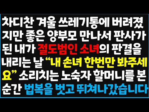 (신청사연) 차디찬 겨울 쓰레기통에 버려졌지만 좋은 양부모 만나서 판사가 된 내가 절도범인 소녀의 판결을 내리는 날 "내 손녀 한번만 봐주세요" [신청사연][사이다썰][사연라디오]
