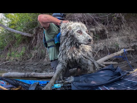 I found a DOG STUCK under a log!!