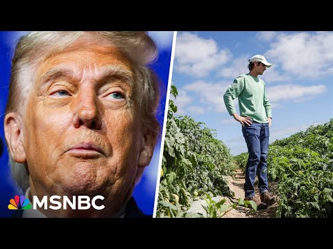 'Everybody is scared to death': Soybean farmer shares struggles amid Trump's tariffs