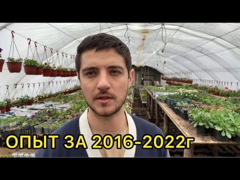 Бизнес на рассаде цветов. Статистика самых популярных растений.