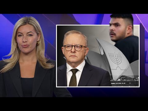 TV host furiously slams ‘weak’ Albanese government after ISIS-inspired Bondi terror attack