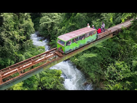 Riding Tiny Homemade Train in Middle of Jungle