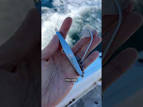 WORST Way to Start a Fishing Trip…