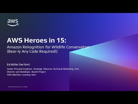 AWS ML Heroes in 15: Amazon Rekognition for Wildlife Conservation-AWS Machine Learning in 15