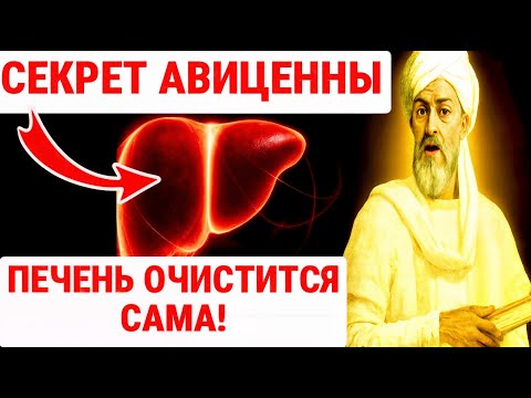 АВИЦЕННА ТЫСЯЧИ ЛЕТ ПРЯТАЛ ЭТУ ТАЙНУ! СОЛЬ ИЗЛЕЧИТ ЖИР ПЕЧЕНИ / ЗДОРОВЬЕ ПОЖИЛЫХ