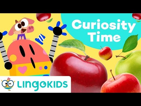 WHERE DO APPLES COME FROM? ππ Educational Video for Kids | Lingokids