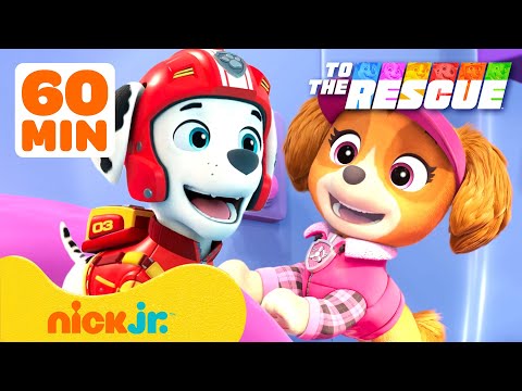 PAW Patrol | Eltern helfen mit! 💗 60 Minuten Freundschaft | Nick Jr. Deutschland