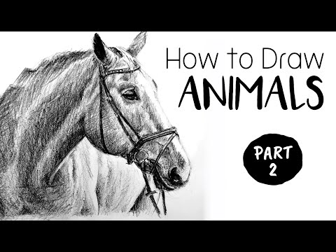How to Draw & Sketch Animals - Part 2