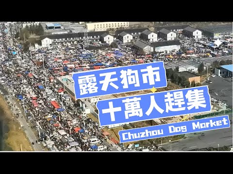 中國華中地區最大的趕集地,每一次的趕集人數能達到十萬人大家猜猜,有各種美食和琳琅滿目的商品供選擇