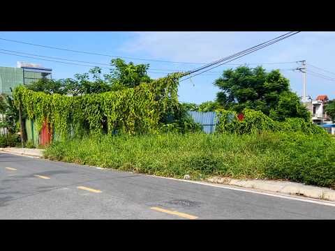 Clean up grass disaster spreading on road corridors - Rescue overgrown sidewalks
