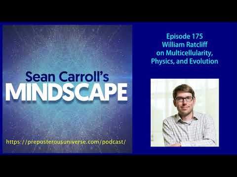 Mindscape 175 | William Ratcliff on Multicellularity, Physics, and Evolution