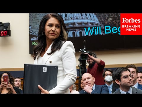 Tulsi Gabbard Makes Case For How Govt Agencies 'Are Being Weaponized Against Us' | Full Statement