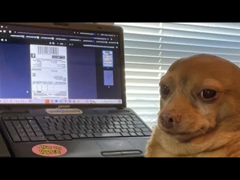 大陆近期爆笑新闻快刷，真的千奇百怪已经笑喷了