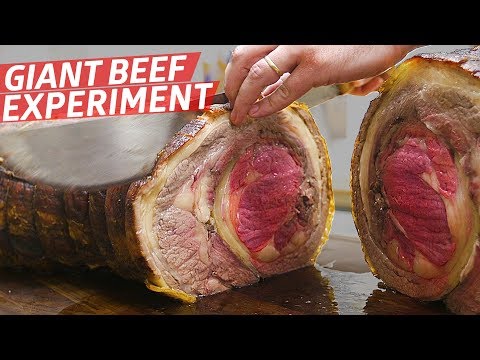 "This Is the Most Expensive Meat Experiment We've Ever Done" — Prime Time