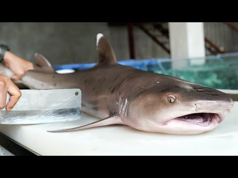 Vietnamese Street Food - GIANT 10KG SHARK Cooked Two Ways Vietnam Seafood