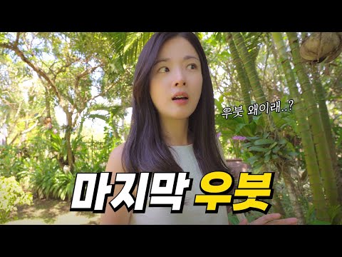 Ubud, a must-see course in Bali, I think this will be the last one