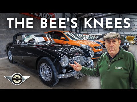 Auction Highlights! Capri, Healey & More Beat Their Estimates – Derek’s Top Picks