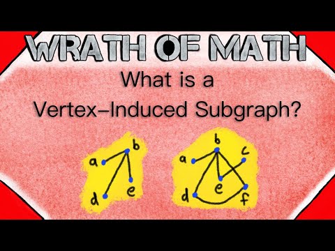 What is a Vertex Induced Subgraph? | Graph Theory