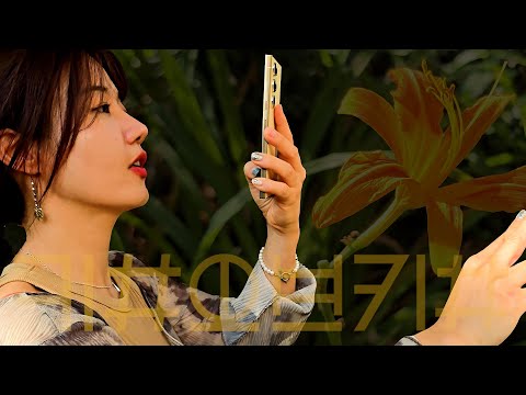 [킴오브킴] "가장 자연스러운 색은 자연에 있다" #pantone #pantonecolor