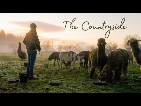 A Peaceful Winter Day on Our Farm | Kids, Animals & Simple Living