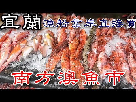 宜蘭南方澳漁港丨漁船靠岸直接買丨有冷氣的現代化魚市場丨魚販阿姨說這間代客料理都是大廚丨買不到鰻魚乾可惜了.....