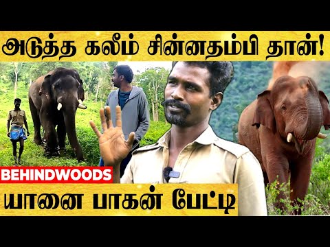 கலீம்-க்கு சின்ன தம்பி குழந்தை மாதிரி..! பாசக்கார குழந்தையாக மாறிய சின்ன தம்பி!! - பாகன் பேட்டி