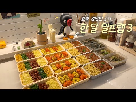 Monthly Lunch Meal Wrap Part 3! 🔥Cost-effective, from soup to pasta!🍙✨