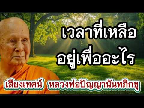 เวลาชีวิตที่เหลือ เราอยู่เพื่ออะไร I หลวงพ่อปัญญานันทภิกขุ I ฟังธรรมะก่อนนอน