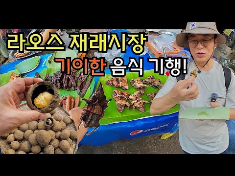 [은퇴 후 라오스] (4)날 것 그대로인 루앙프라방 재래시장을 가다.