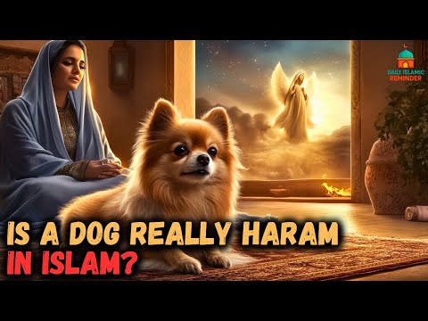 Are Dogs REALLY Haram in Islam? What the Prophet ﷺ Actually Said