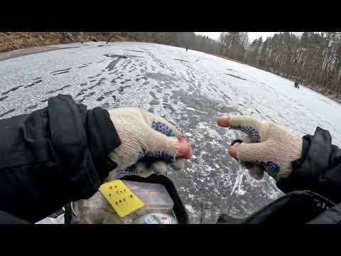 Твёрдая вода и опять секретная старица,  капризная рыбулька в середине февраля, отчёт №361