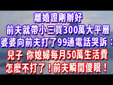 離婚證剛辦好，前夫就帶小三買300萬大平層，婆婆向前夫打了99通電話哭訴：兒子，你媳婦每月50萬生活費怎麽不打了！前夫瞬間傻眼！#深夜講故事#為人處世#生活經驗#情感故事#故事#小說#戀愛#情感#婚姻